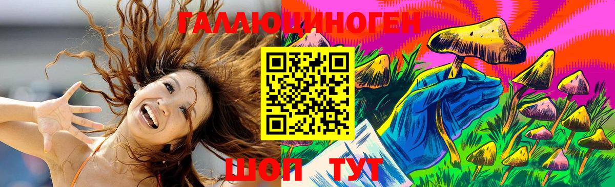 Псилоцибиновые грибы GOLDEN TEACHER  Вход с VPN  Кыштым 